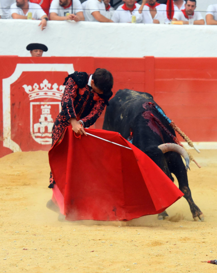 Novillada de fiestas de Peralta 2026 este sábado 5 de septiembre con toros de la ganadería de Juan Luis Fraile para los novilleros Mariscal Ruiz, Angelín y Julio Romero