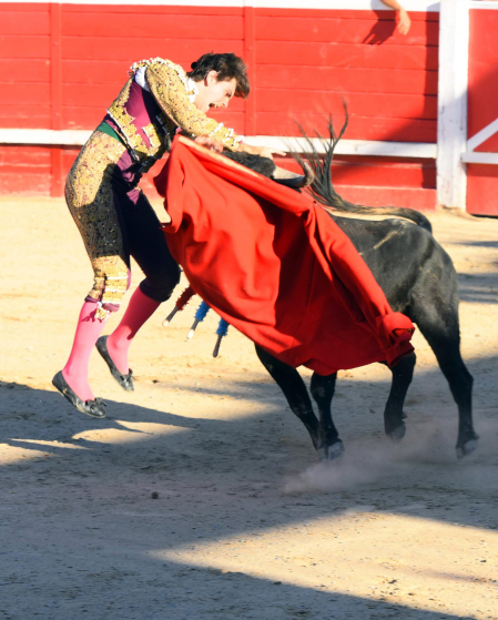 Toros de la Dehesa de Guadarrama para los novilleros forales Aarón Navas, Pablo Hernández y Pacho Jiménez en la novillada de fiestas de Sangüesa el 15 de septiembre