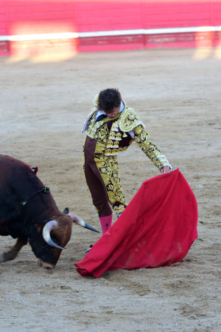 Toros de la Dehesa de Guadarrama para los novilleros forales Aarón Navas, Pablo Hernández y Pacho Jiménez en la novillada de fiestas de Sangüesa el 15 de septiembre