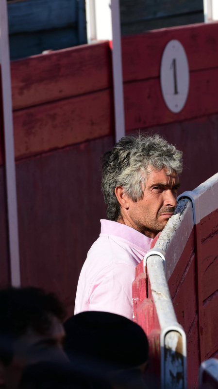 Novillada en Sangüesa con toros de José Luis Pascual para los diestros Aarón Navas y Jesús Mariano.