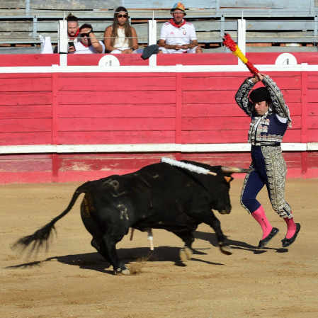 Novillada en Sangüesa con toros de José Luis Pascual para los diestros Aarón Navas y Jesús Mariano.