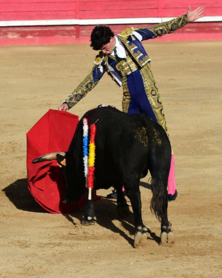 Novillada en Sangüesa con toros de José Luis Pascual para los diestros Aarón Navas y Jesús Mariano.