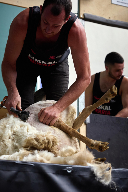 Campeonato mundial de esquileo en Elizondo