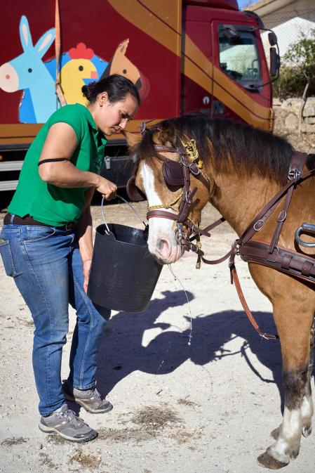 Público asistente a la feria de octubre de Tafalla celebrada este domingo, día 25
