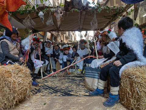 carnaval estella