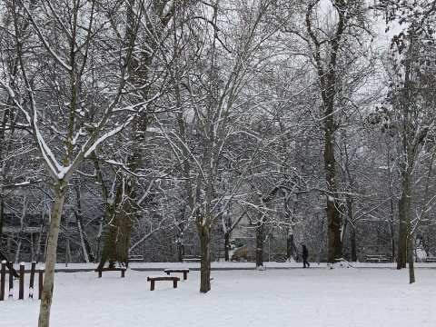 Fotos de la nevada en el parque Los Llanos de Estella. /