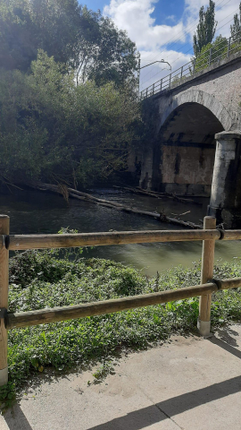 paseo del Arga.