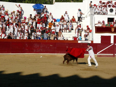 Becerrada de las fiestas de Estella el 10 de agosto de 2011