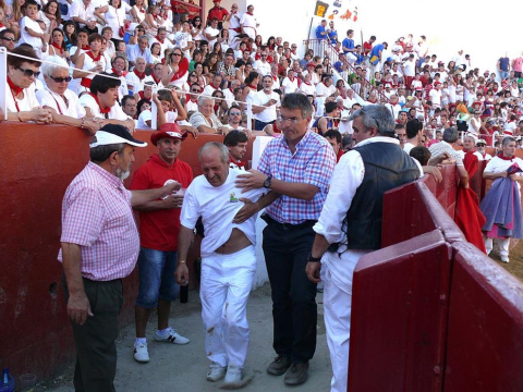 Becerrada de las fiestas de Estella el 10 de agosto de 2011
