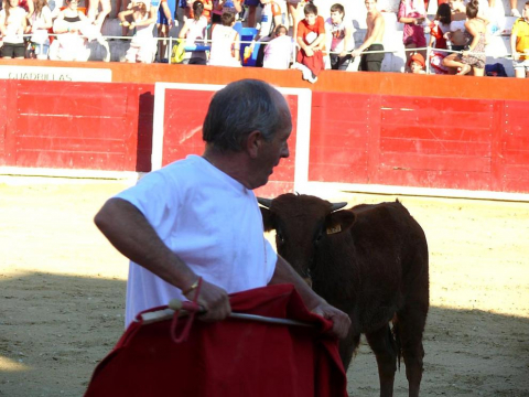 Becerrada de las fiestas de Estella el 10 de agosto de 2011