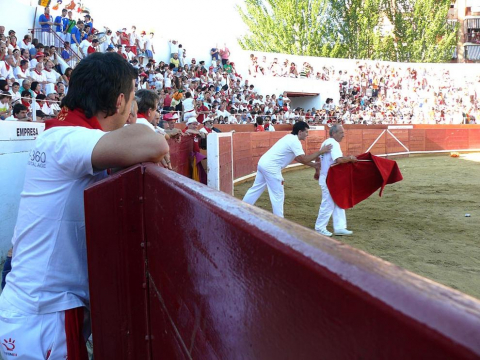 Becerrada de las fiestas de Estella el 10 de agosto de 2011