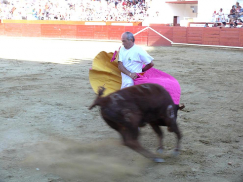 Becerrada de las fiestas de Estella el 10 de agosto de 2011