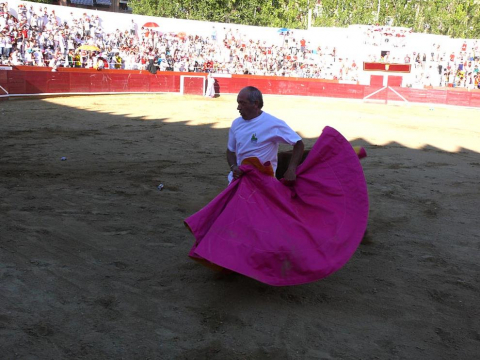 Becerrada de las fiestas de Estella el 10 de agosto de 2011