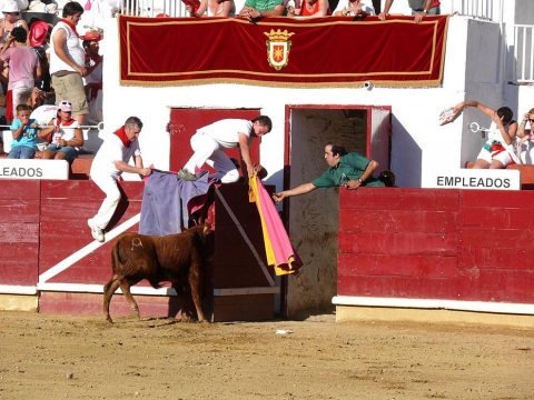 Becerrada de las fiestas de Estella el 10 de agosto de 2011