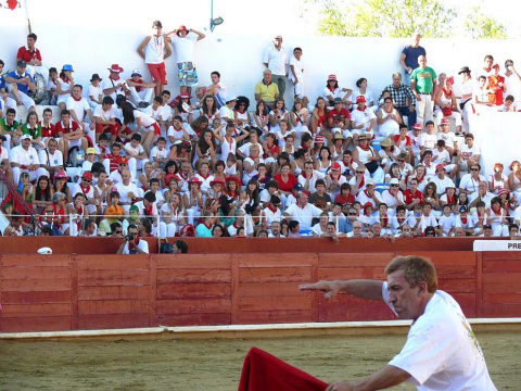 Becerrada de las fiestas de Estella el 10 de agosto de 2011