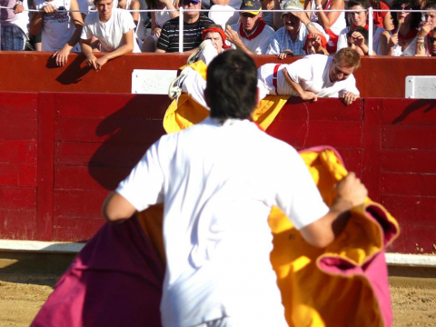Becerrada de las fiestas de Estella el 10 de agosto de 2011