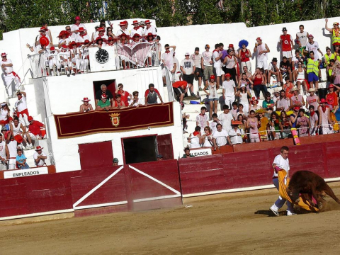 Becerrada de las fiestas de Estella el 10 de agosto de 2011