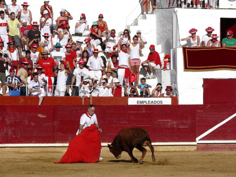 Becerrada de las fiestas de Estella el 10 de agosto de 2011