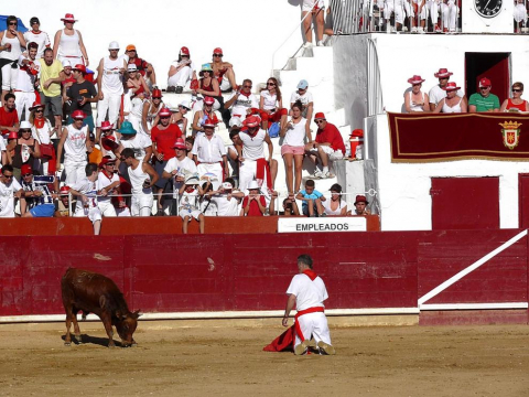 Becerrada de las fiestas de Estella el 10 de agosto de 2011