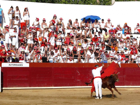Becerrada de las fiestas de Estella el 10 de agosto de 2011