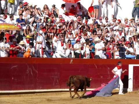 Becerrada de las fiestas de Estella el 10 de agosto de 2011