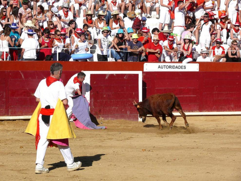 Becerrada de las fiestas de Estella el 10 de agosto de 2011