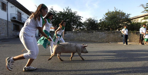Carrera de cutos de Arazuri
