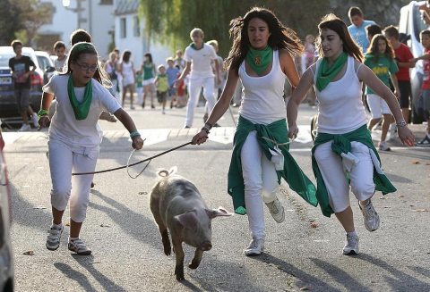 Carrera de cutos de Arazuri