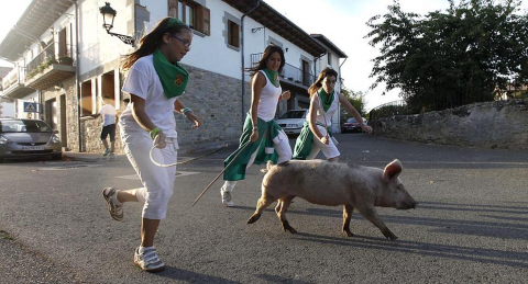 Carrera de cutos de Arazuri