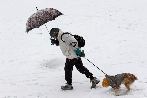 Varios lugares de Pamplona amanecen nevados este 5 de febrero