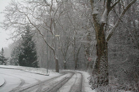 Varios lugares de Pamplona amanecen nevados este 5 de febrero