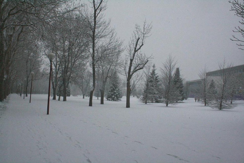 Varios lugares de Pamplona amanecen nevados este 5 de febrero