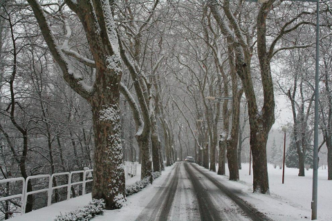 Varios lugares de Pamplona amanecen nevados este 5 de febrero