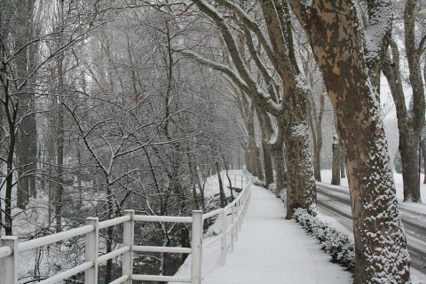 Varios lugares de Pamplona amanecen nevados este 5 de febrero