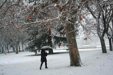Varios lugares de Pamplona amanecen nevados este 5 de febrero