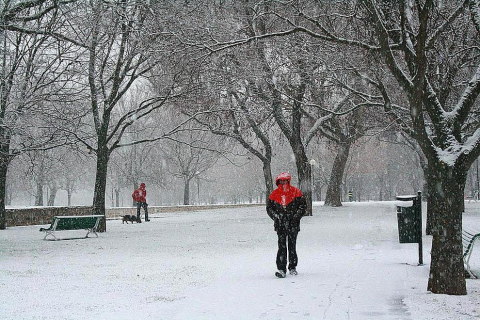 Varios lugares de Pamplona amanecen nevados este 5 de febrero