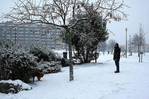 Varios lugares de Pamplona amanecen nevados este 5 de febrero
