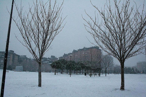 Varios lugares de Pamplona amanecen nevados este 5 de febrero