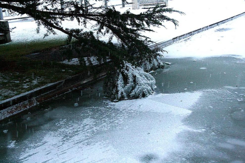 Varios lugares de Pamplona amanecen nevados este 5 de febrero