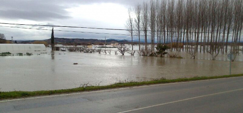El desbordamiento de algunos ríos ha provocado inundaciones en Pamplona y su comarca y ha cortado varias carreteras.