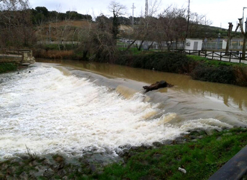 El desbordamiento de algunos ríos ha provocado inundaciones en Pamplona y su comarca y ha cortado varias carreteras.