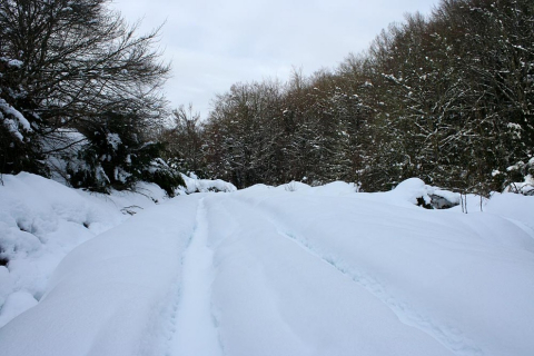 Imágenes de este fin de semana en Roncesvalles y en el valle de Aezkoa.