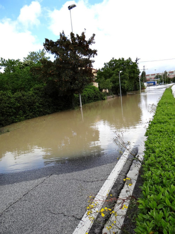 Imágenes de los lectores de riadas en Pamplona y Comarca