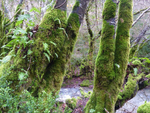 El recorrido que presentamos aquí aprovecha los restos de un viejo y tradicional sendero que unía las localidades de Iragi y Eugi