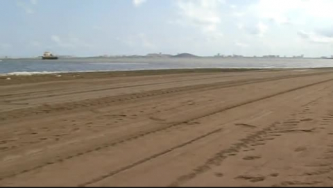 Las medusas se mueren en el Mar Menor a consecuencia de la contaminación