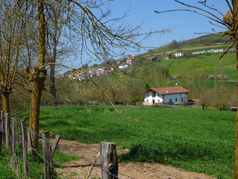 Recorrido por la Cañada de 'Los Toros' propuesto por 'Conocer Navarra'.