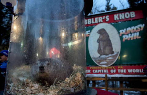 La marmota Phil predice un invierno largo.