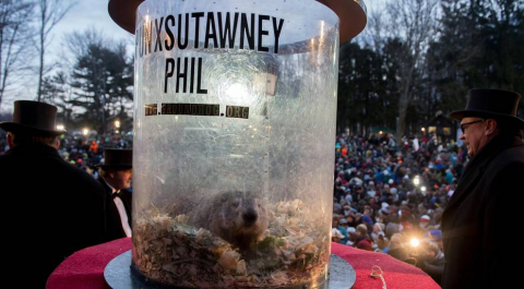 La marmota Phil predice un invierno largo.