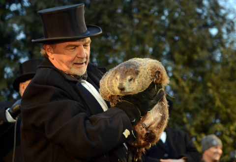 La marmota Phil predice un invierno largo.