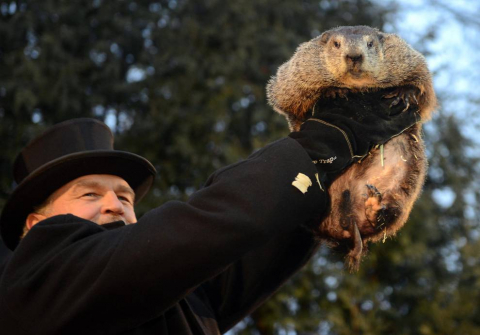 La marmota Phil predice un invierno largo.